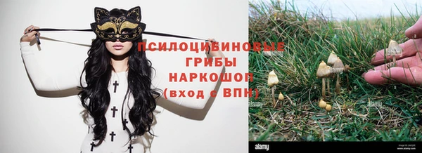 марихуана Белокуриха
