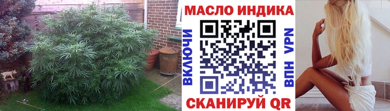 закладка  Сертолово  ТГК Wax 